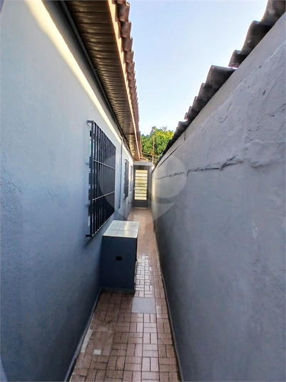 Foto REO582467
