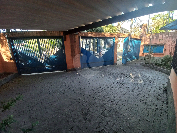 Foto REO582959