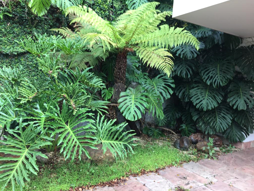 Venda Sobrado São Paulo Jardim Everest REO583443 5