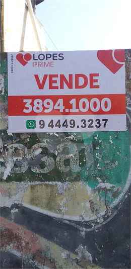 Foto REO583461