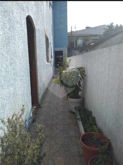 Foto REO583517