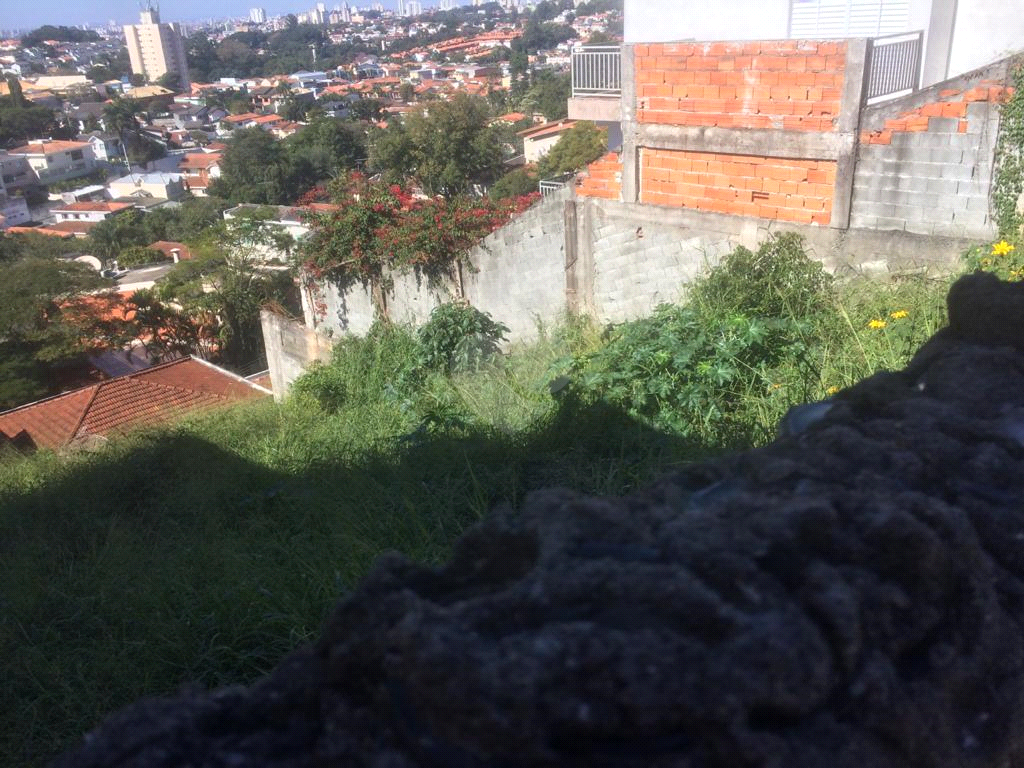 Venda Terreno São Paulo Vila Albertina REO583805 2