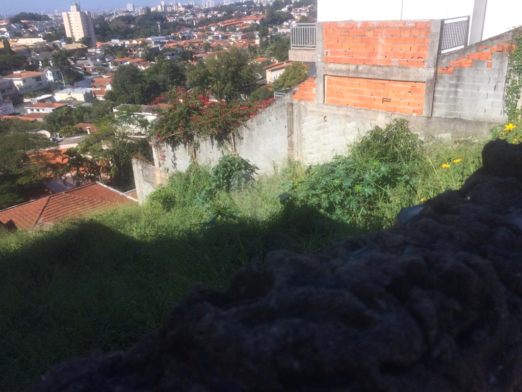 Venda Terreno São Paulo Vila Albertina REO583805 6