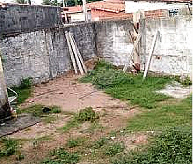 Foto REO583997