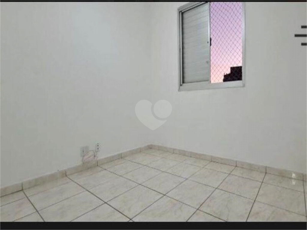 Aluguel Apartamento São Paulo Cambuci REO584216 9