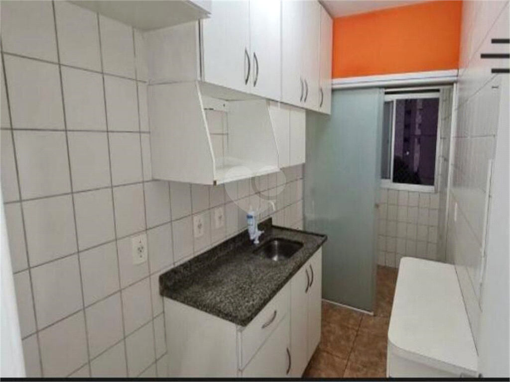 Aluguel Apartamento São Paulo Cambuci REO584216 6