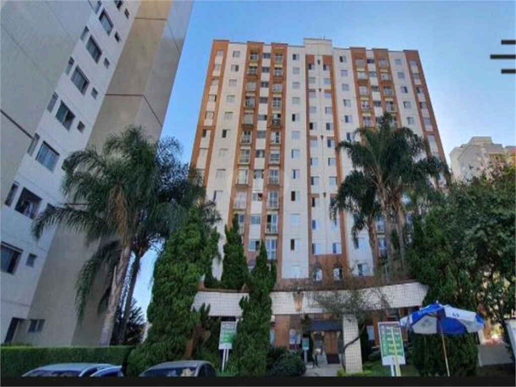 Aluguel Apartamento São Paulo Cambuci REO584216 15