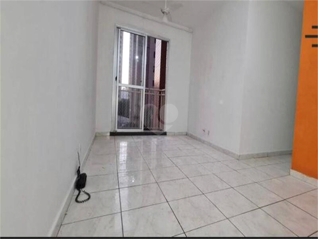 Aluguel Apartamento São Paulo Cambuci REO584216 1