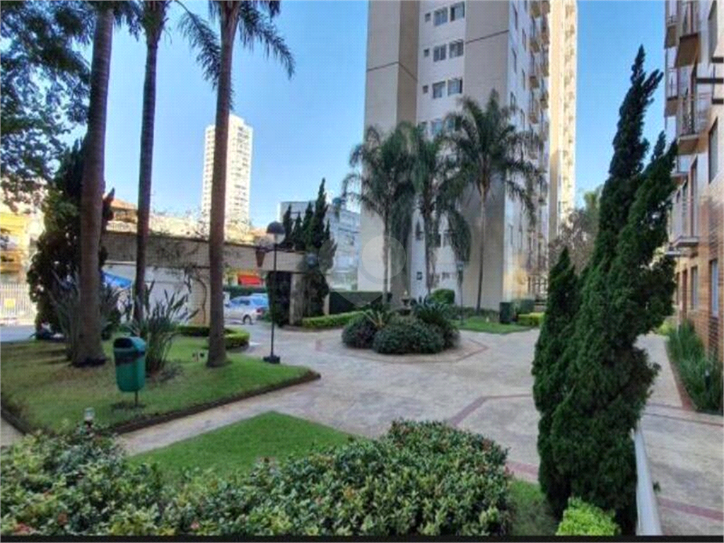 Aluguel Apartamento São Paulo Cambuci REO584216 17