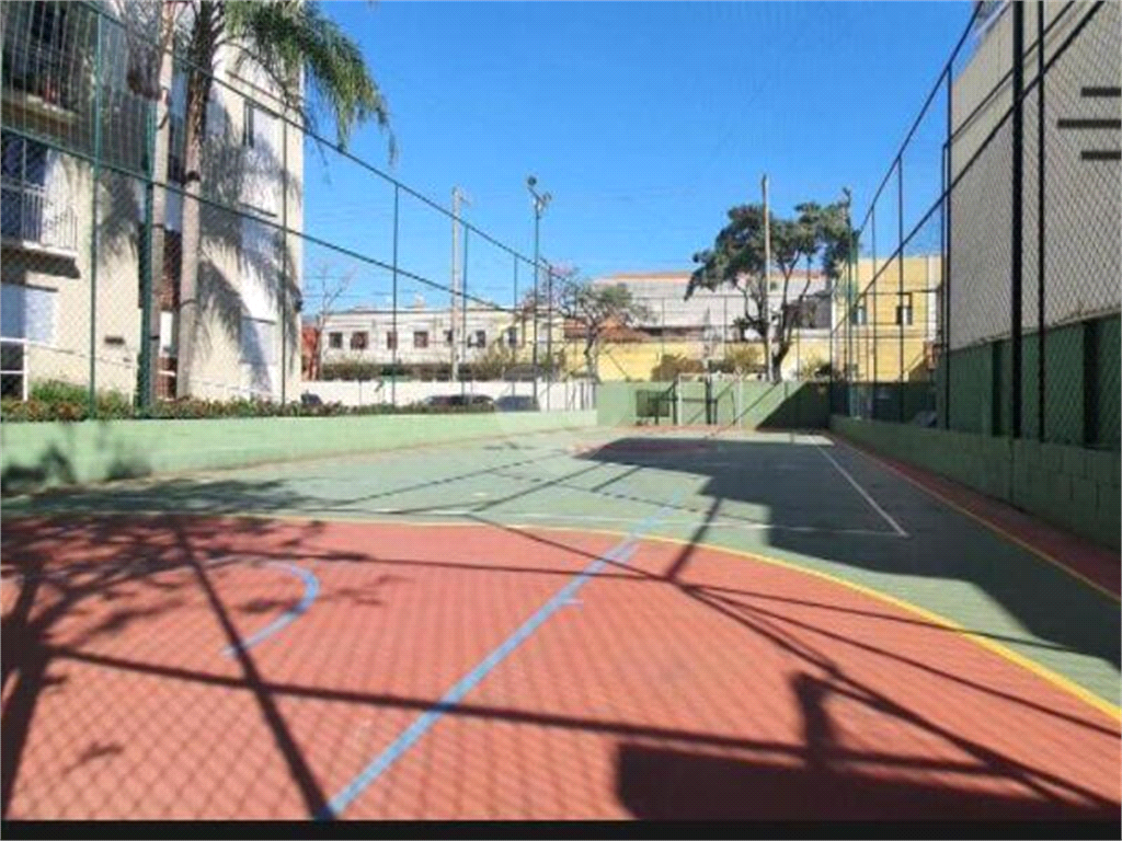 Aluguel Apartamento São Paulo Cambuci REO584216 21