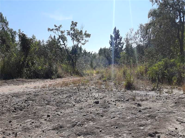 Venda Terreno Mairiporã Caraguatá REO584708 9