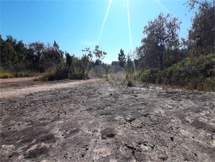 Venda Terreno Mairiporã Caraguatá REO584708 10