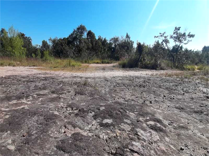 Venda Terreno Mairiporã Caraguatá REO584708 4