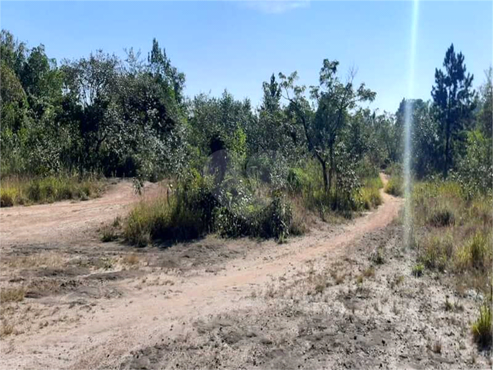 Venda Terreno Mairiporã Caraguatá REO584708 5