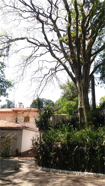 Venda Casa térrea São Paulo Tucuruvi REO584923 22