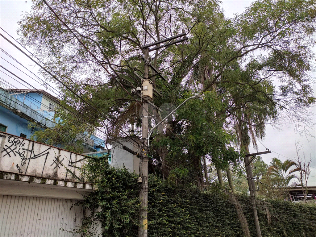 Venda Terreno São Paulo Mandaqui REO584985 25