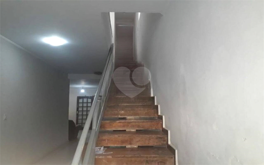 Foto REO585154