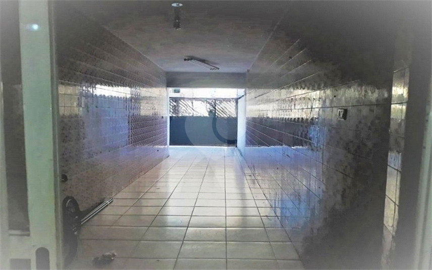 Foto REO585154