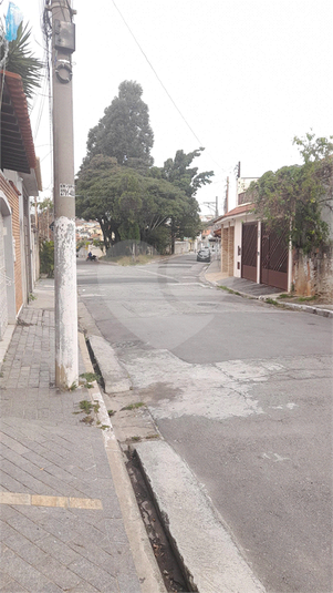 Foto REO585741
