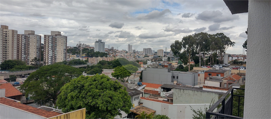 Foto REO585927
