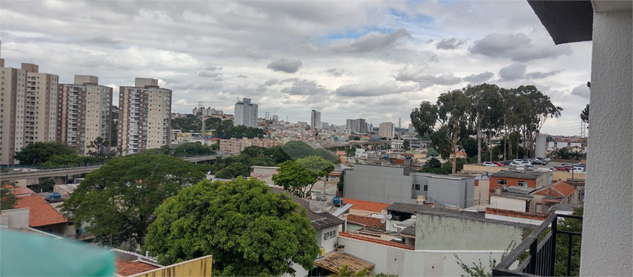 Foto REO585942
