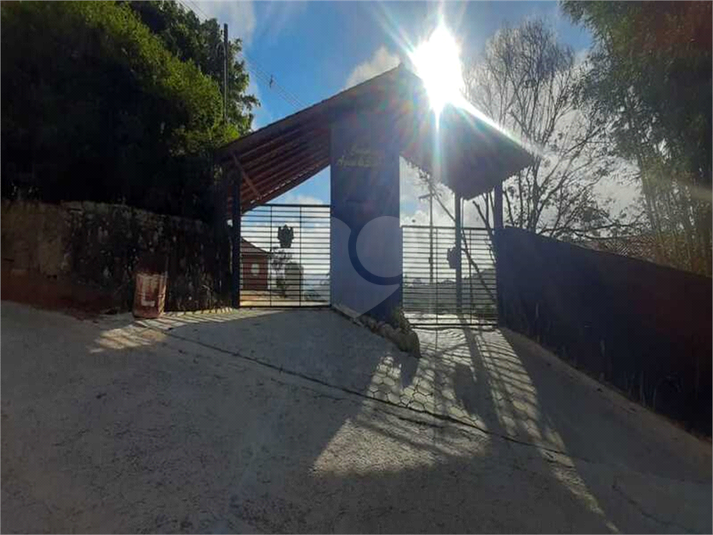 Foto REO586445