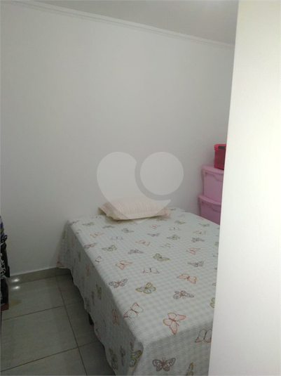 Foto REO586459