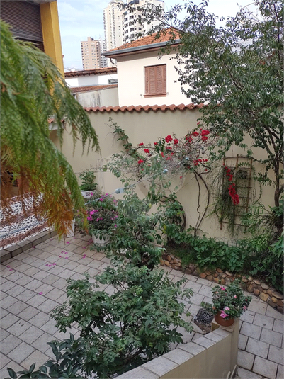 Foto REO586472