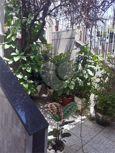 Foto REO588609