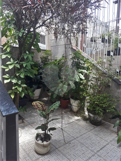 Foto REO588609