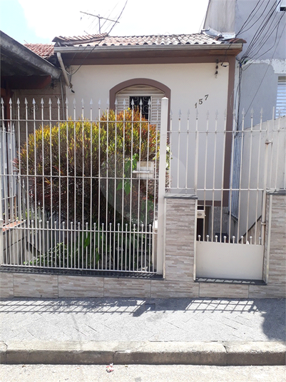 Foto REO588609