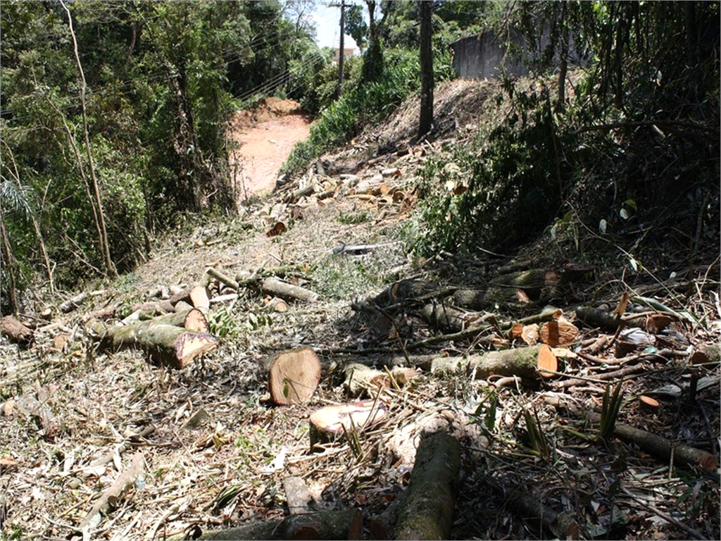 Venda Terreno Mairiporã Roseira REO589231 17