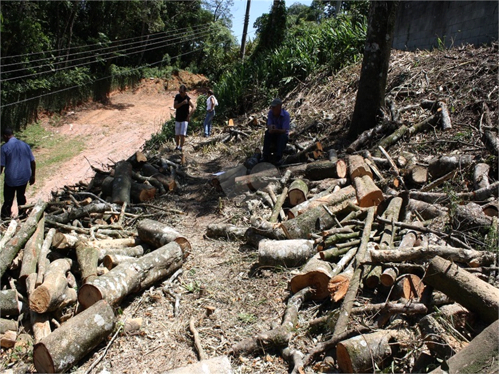 Venda Terreno Mairiporã Roseira REO589231 15