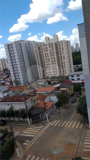 Foto REO590124