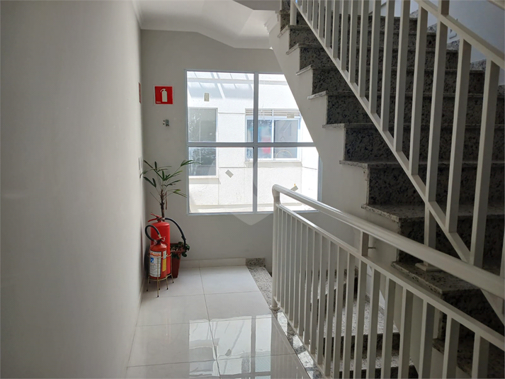 Foto REO590341