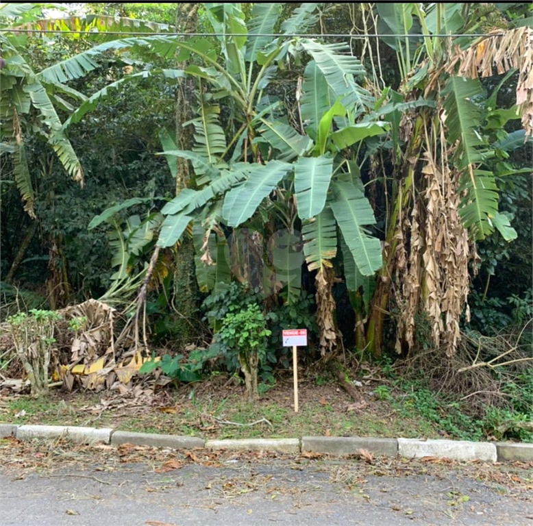 Venda Terreno Guarujá Morro Sorocotuba REO590478 1