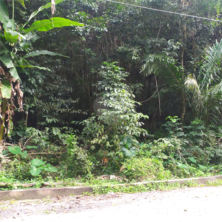 Venda Terreno Guarujá Morro Sorocotuba REO590478 5