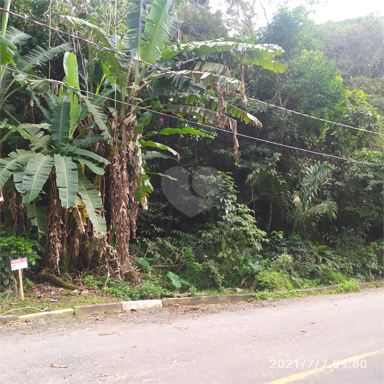 Venda Terreno Guarujá Morro Sorocotuba REO590478 7