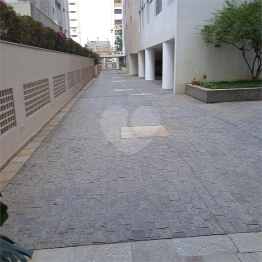 Foto REO590541