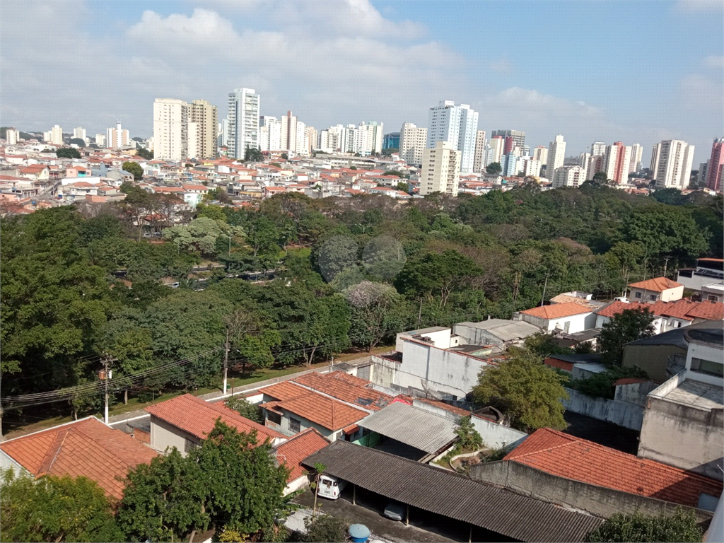 Venda Apartamento São Paulo Vila Monte Alegre REO590721 1