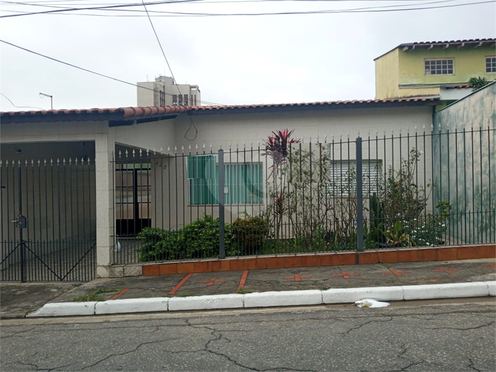 Foto REO590746
