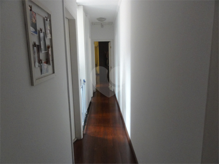 Foto REO591560