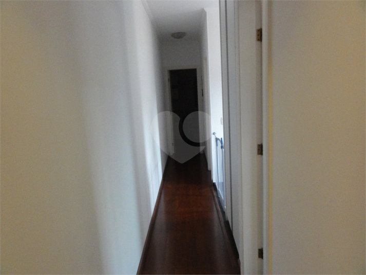 Foto REO591560