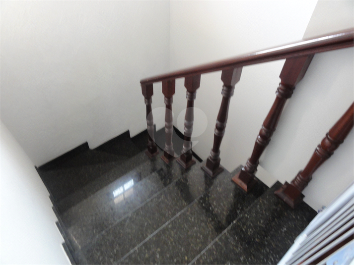 Foto REO591560