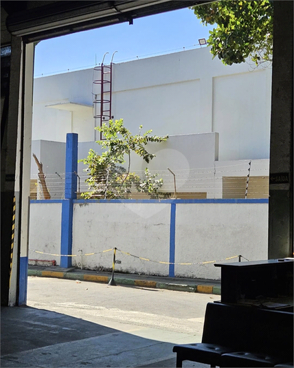 Foto REO591611