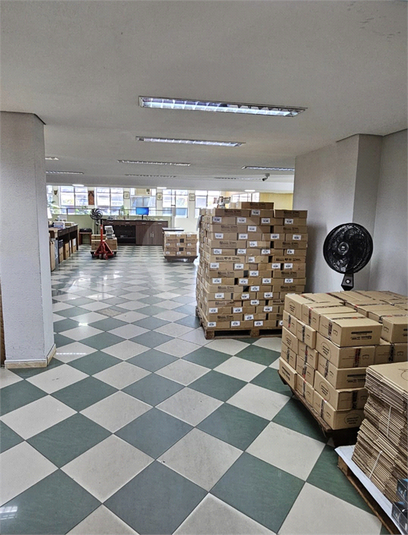 Foto REO591611