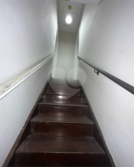 Foto REO591645