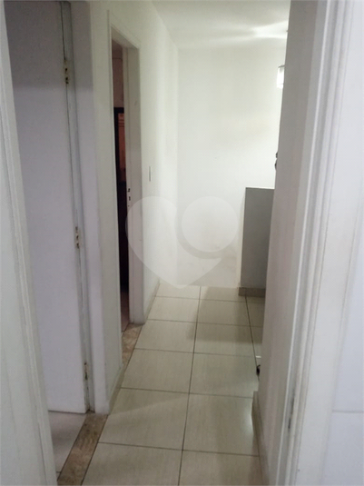 Foto REO592251