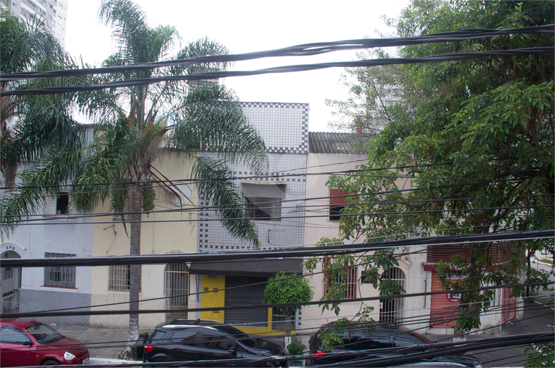Foto REO592924