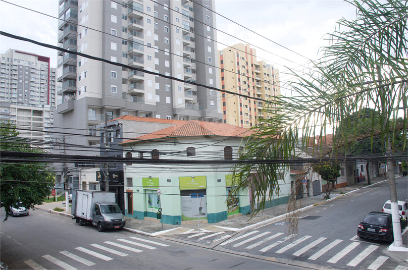 Foto REO592924